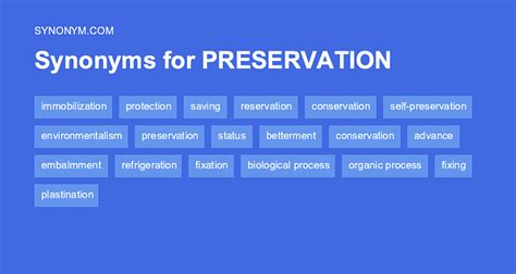 synonyms of preservation.